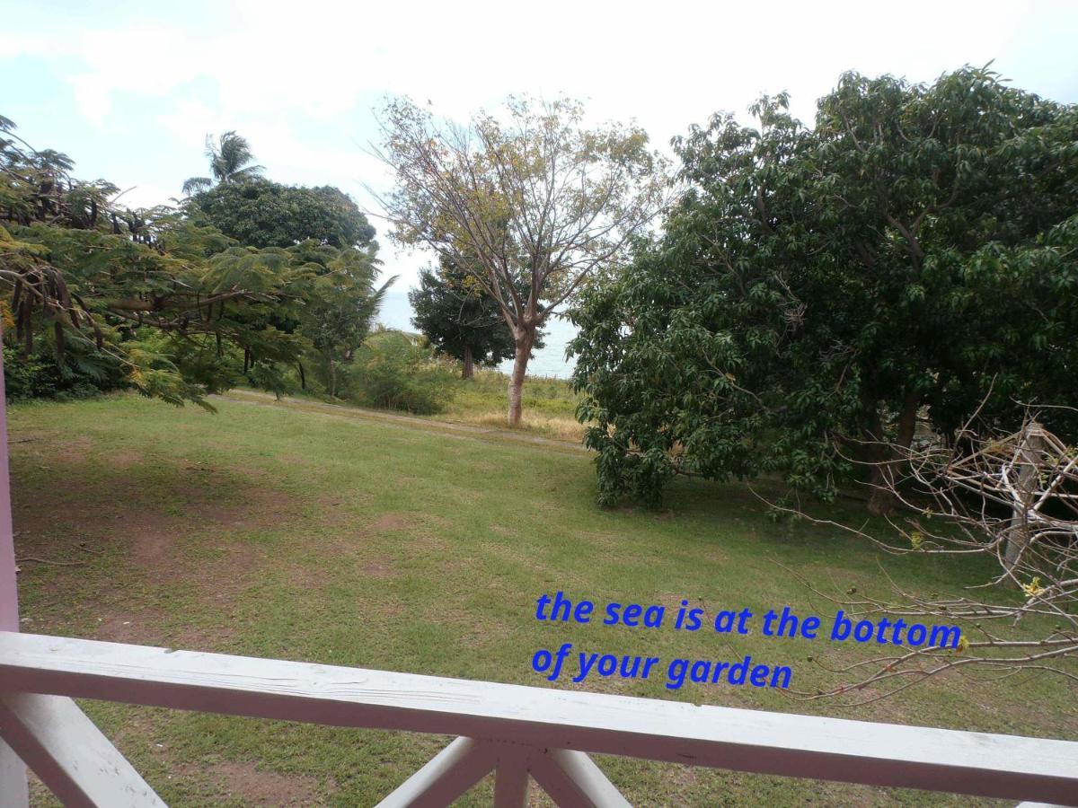 The Pink House Choiseul Exterior foto